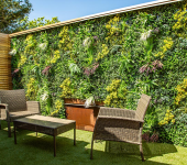 Outdoor seating area with wicker chairs and table against a lush vertical garden wall in a sunny patio setting